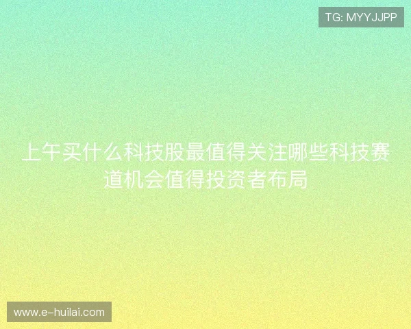 上午买什么科技股最值得关注哪些科技赛道机会值得投资者布局